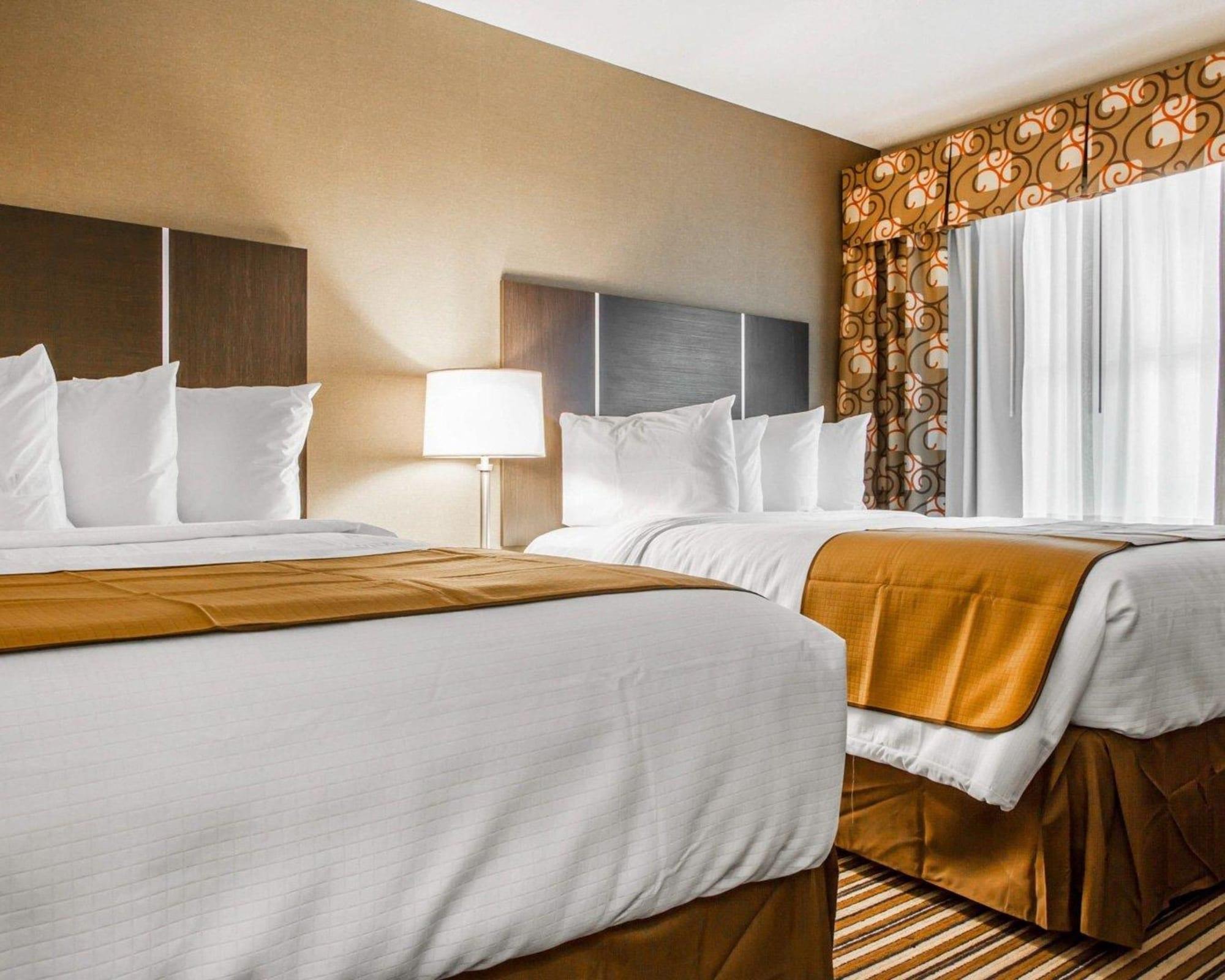 Quality & Hotel