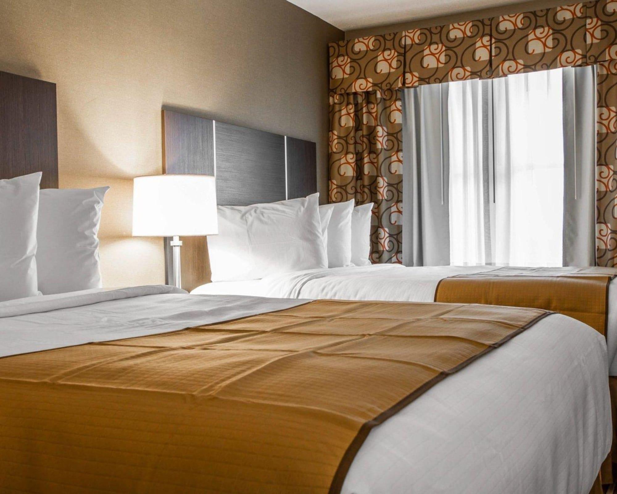 Quality & Hotel South Portland
