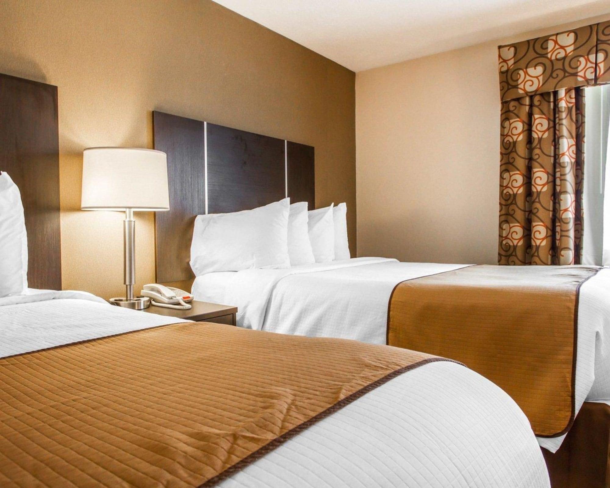 Quality & Hotel